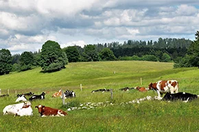 tourisme-et-loisirs